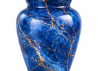 Exotic Blue