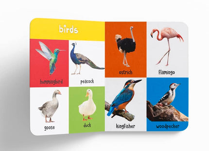 My First 100 Library: Boxset of 5 Early Learning Board Books for Kids/Children (homeschool / preschool / baby/toddler)