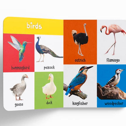 My First 100 Library: Boxset of 5 Early Learning Board Books for Kids/Children (homeschool / preschool / baby/toddler)