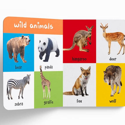 My First 100 Library: Boxset of 5 Early Learning Board Books for Kids/Children (homeschool / preschool / baby/toddler)