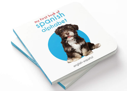 My First English - Español Learning Library (Mi Primera English - Español Learning Library) (česká edice)