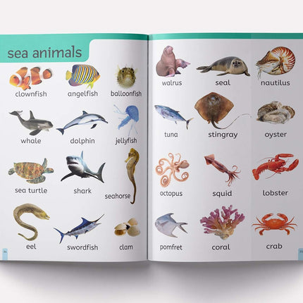 My First 1000 Words: Early Learning Picture Book to learn Alphabet, Numbers, Shapes and Colours, Transport, Birds and Animals, Professions, Opposite Words,