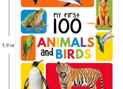 My First 100 Library: Boxset of 5 Early Learning Board Books for Kids/Children (homeschool / preschool / baby/toddler)