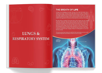 Knowledge Encyclopedia Human Body (Knowledge Encyclopedia For Children)