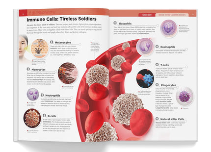 Knowledge Encyclopedia Human Body (Knowledge Encyclopedia For Children)