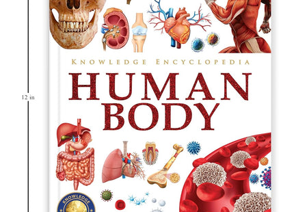 Knowledge Encyclopedia Human Body (Knowledge Encyclopedia For Children)