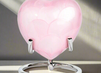 Pink Plain 3