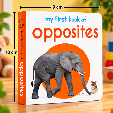 My First Board Books for Babies and Toddlers ABC Animals Flowers and Early Learning